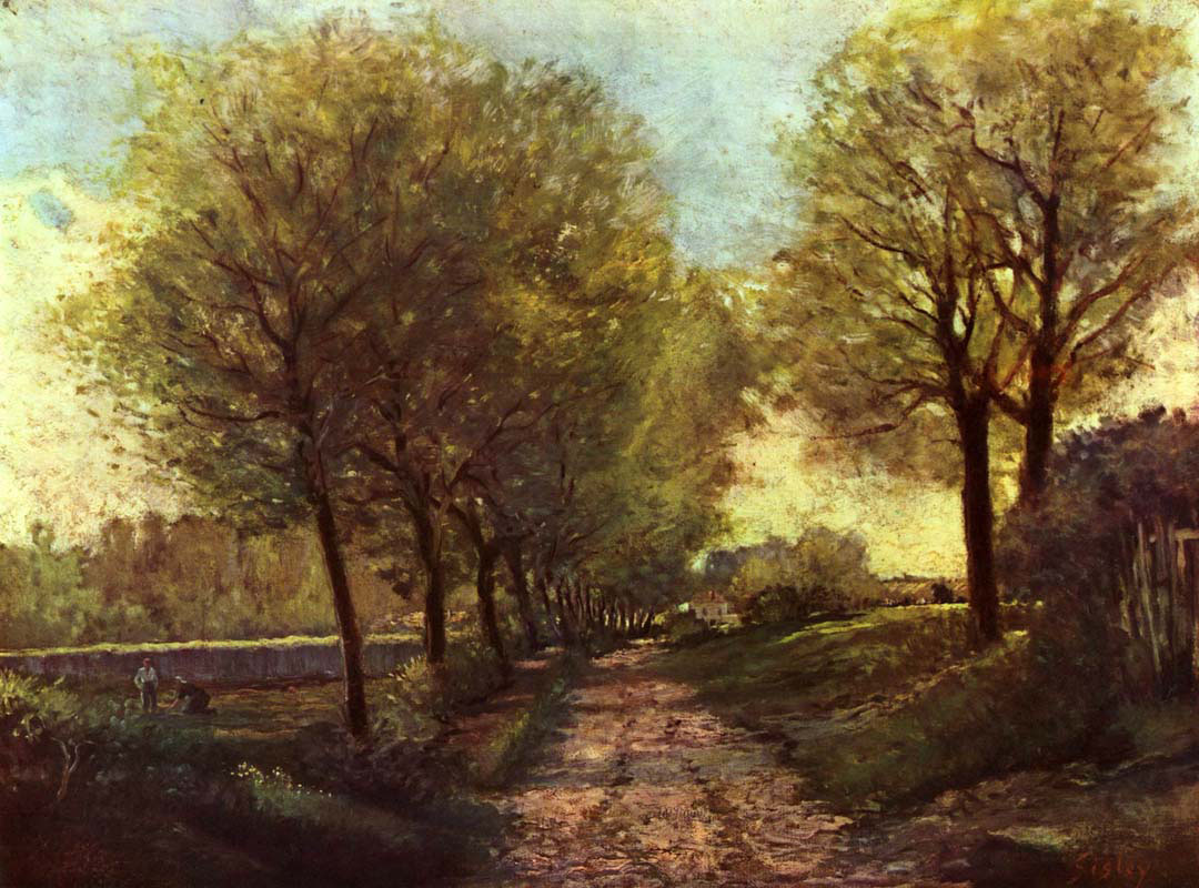 Tree-lined Avenue 
